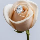 Bague "Louise" solitaire oval 4cts