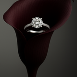 "Amora Round" solitaire ring