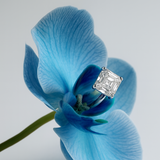 Bague "Princess" Asscher solitaire 5,5cts